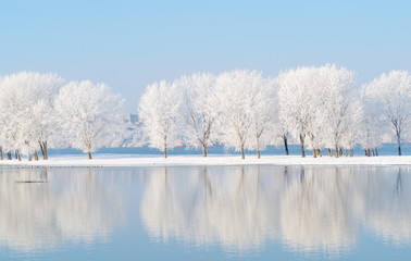 凤凰牡丹仲豪为什么自尽